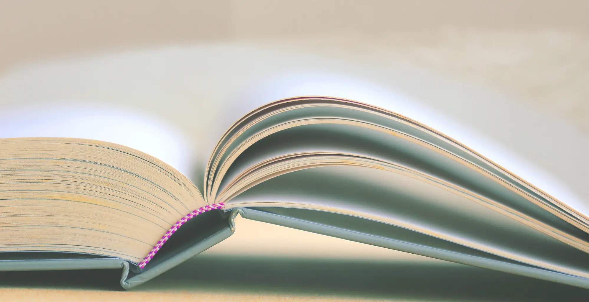 Open book with softly turning pages